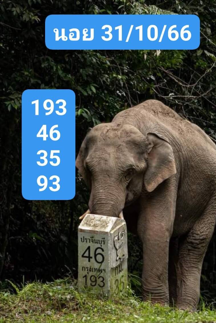 หวยฮานอย 30-10-66 ชุด9