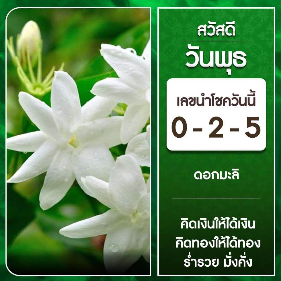 หวยฮานอย 4-10-66 ชุด1