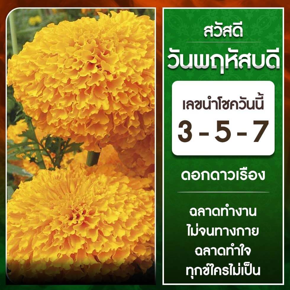 หวยฮานอย 5-10-66 ชุด7