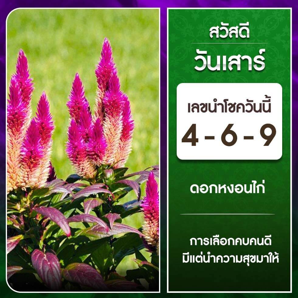 หวยฮานอย 7-10-66 ชุด1