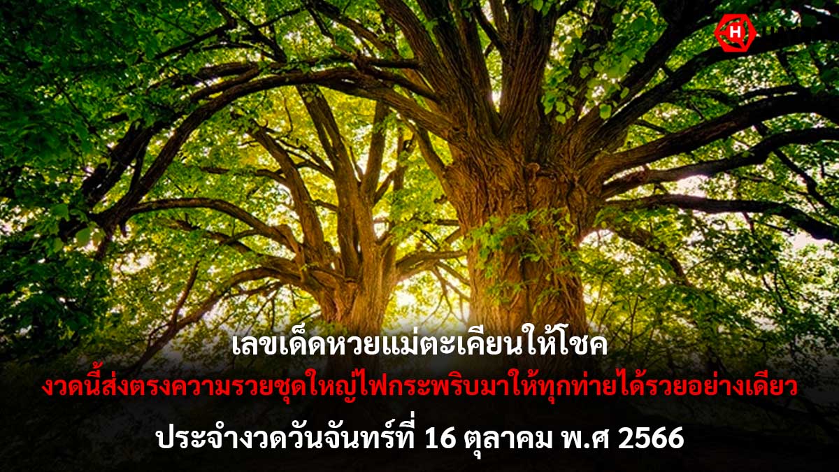หวยแม่ตะเคียนให้โชค 16 10 66