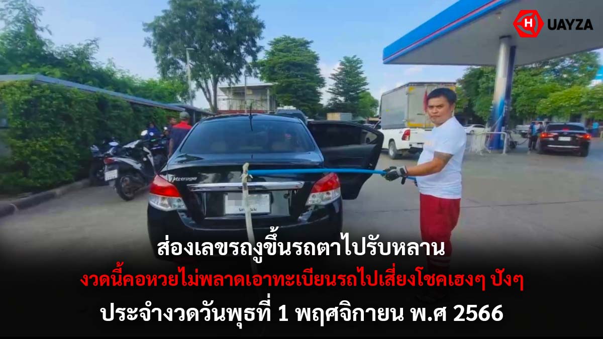 เลขรถงูขึ้นรถตา