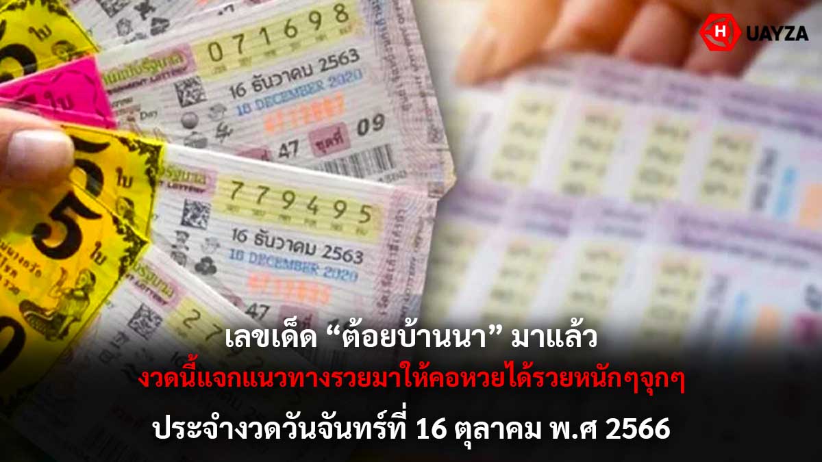 เลขเด็ด ต้อยบ้านนา 16 10 66