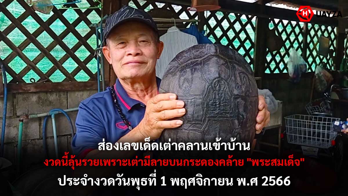 เลขเด็ดเต่าเข้าบ้าน 1 11 66