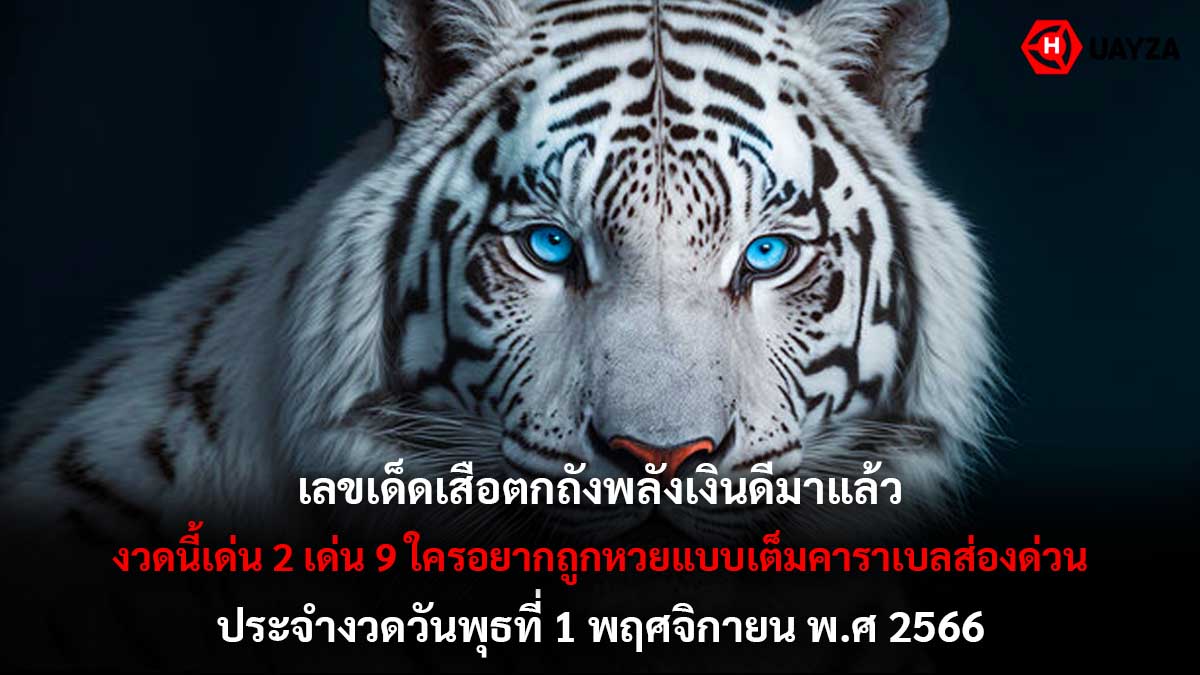 เสือตกถังพลังเงินดี 1 11 66