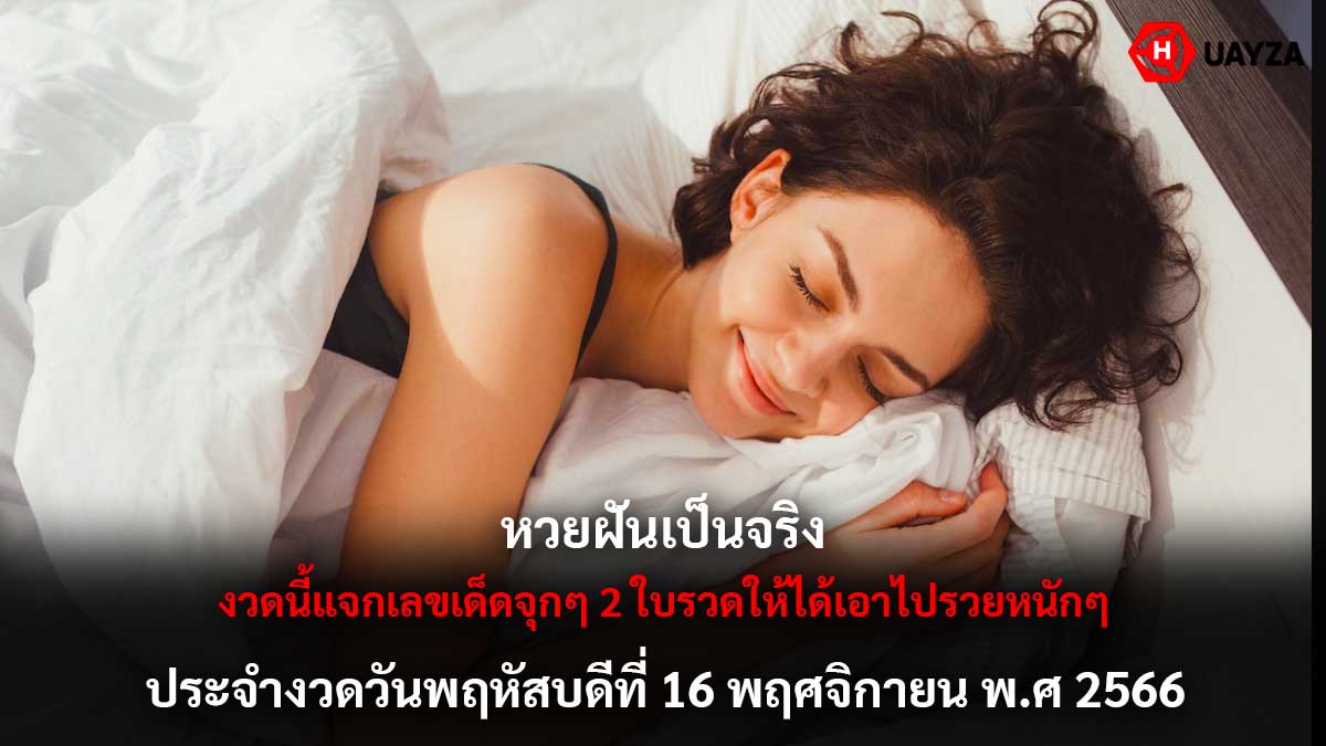 หวยฝันเป็นจริงงวด 16 11 66