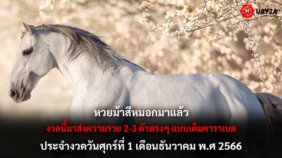 หวยม้าสีหมอก 1 12 66
