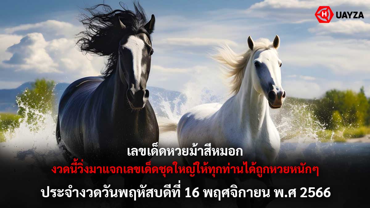หวยม้าสีหมอก งวด 16 11 66
