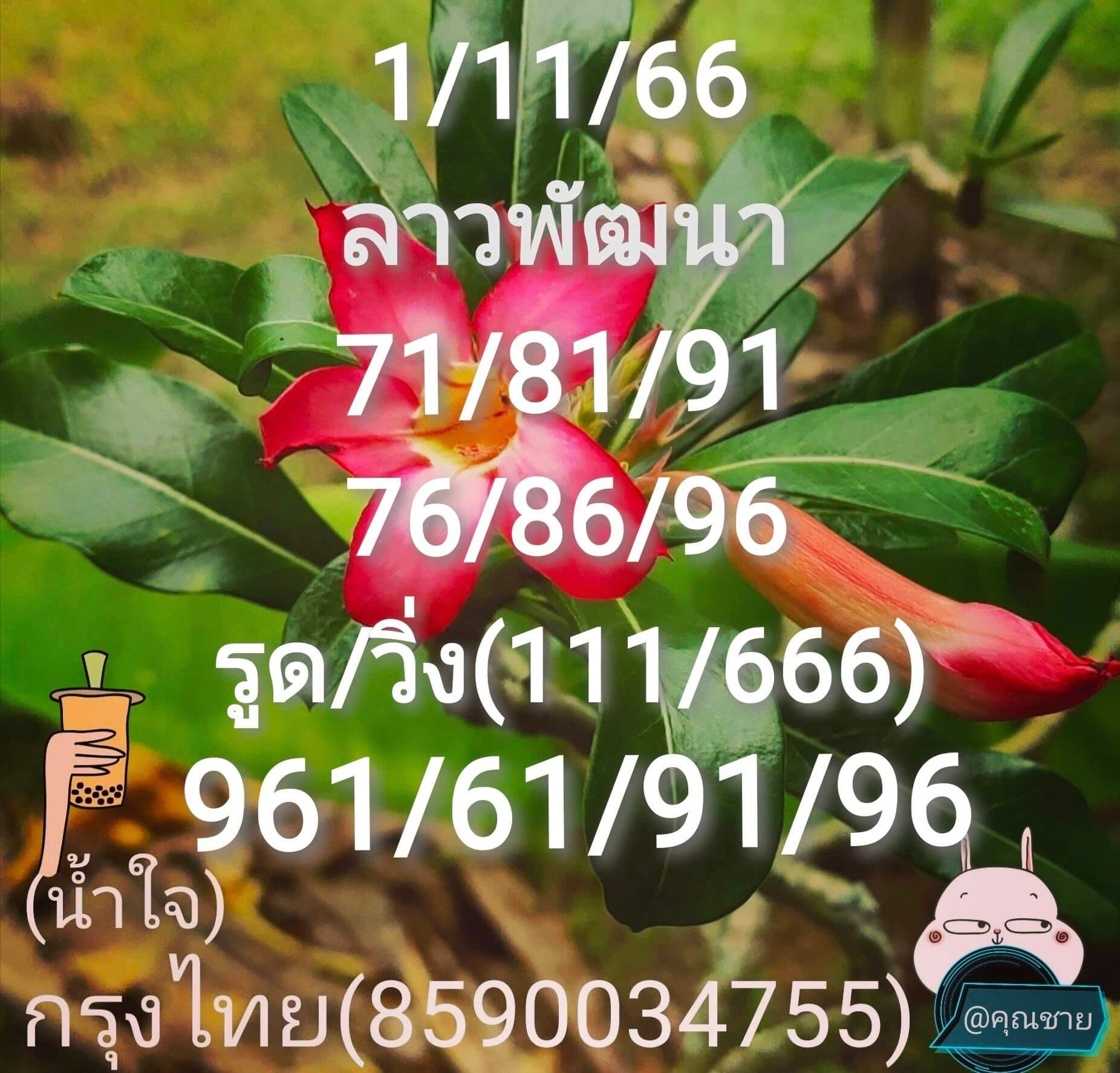 หวยลาว 1-11-66 ชุด9