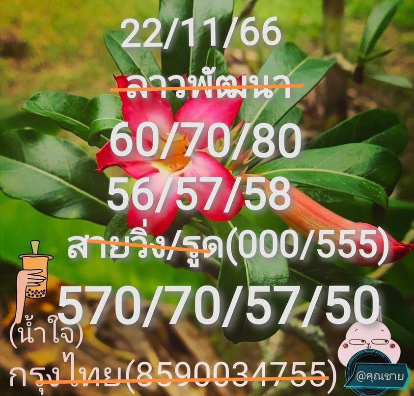 หวยลาว 22-11-66 ชุด7