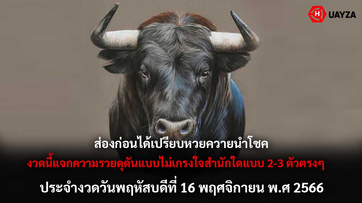 เลขเด็ดควายนำโชคงวด 16 11 66
