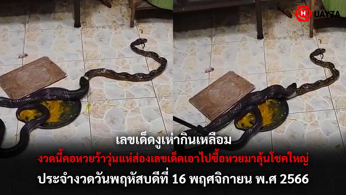 เลขเด็ดงูเห่ากินเหลือม