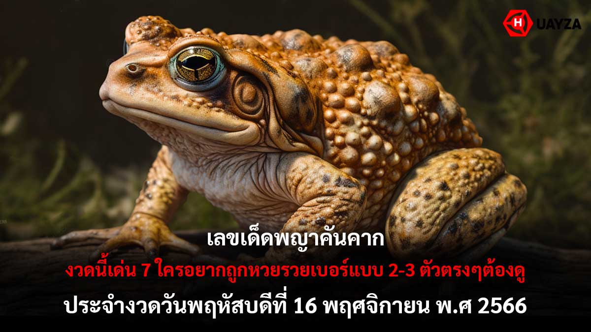 เลขเด็ดพญาคันคากงวด 16 11 66