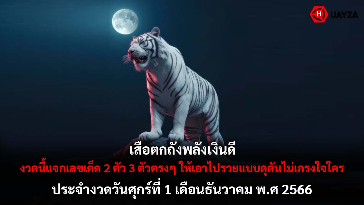 เสือตกถังพลังเงินดี 1 12 66