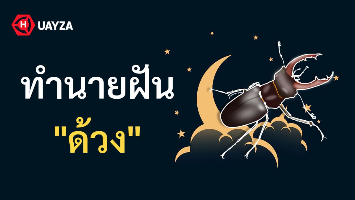 ฝันเห็นด้วง