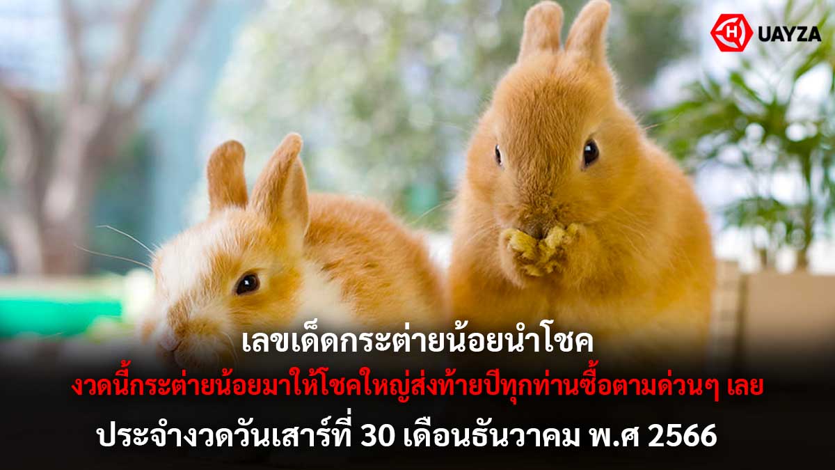 หวยกระต่ายน้อยนำโชค 30 12 66