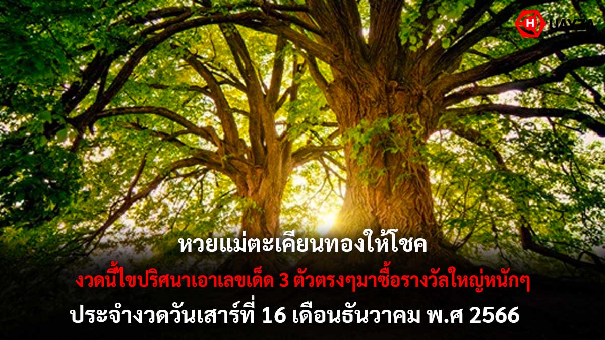 แม่ตะเคียนทองให้โชค 16 12 66