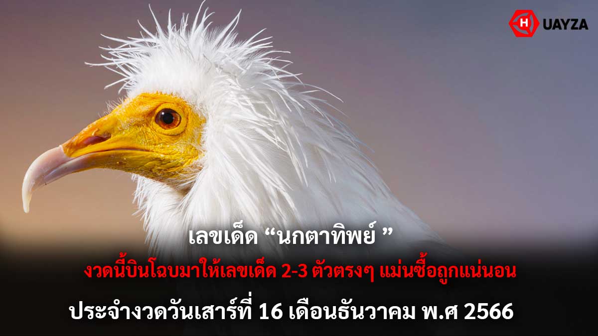 เลขเด็ดนกตาทิพย์ 16 12 66