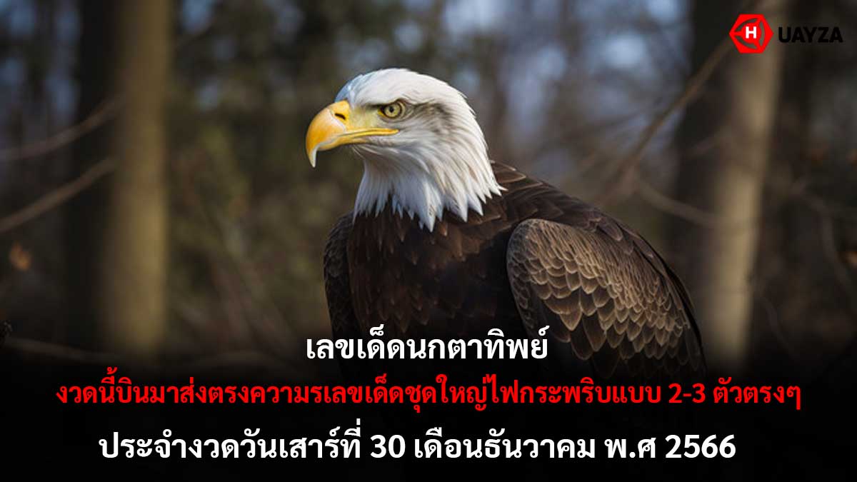เลขเด็ดนกตาทิพย์ 30 12 66