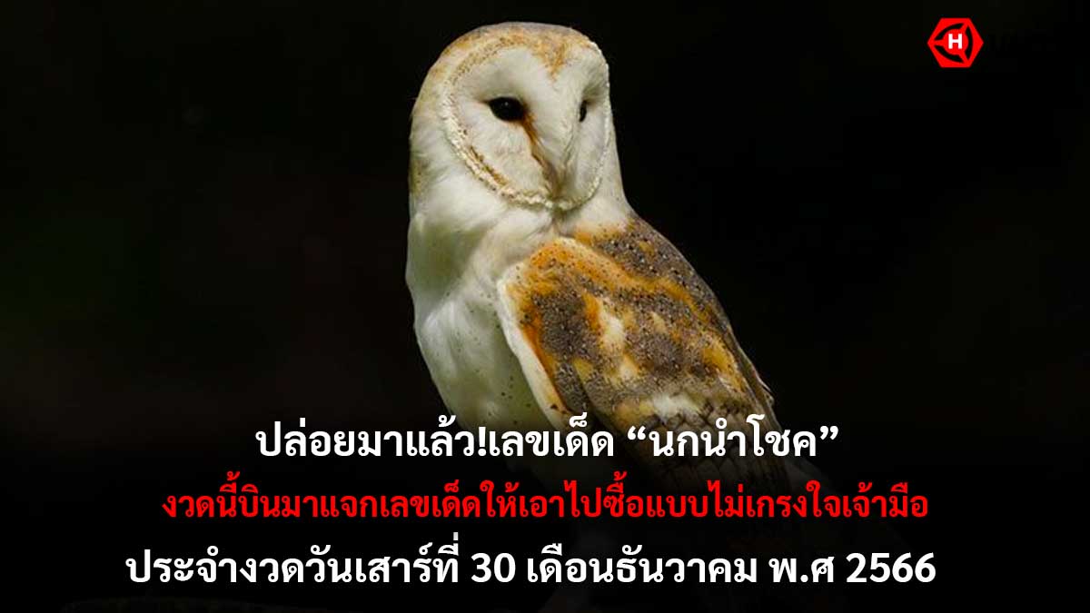 เลขเด็ดนกนำโชคงวด 30 12 66
