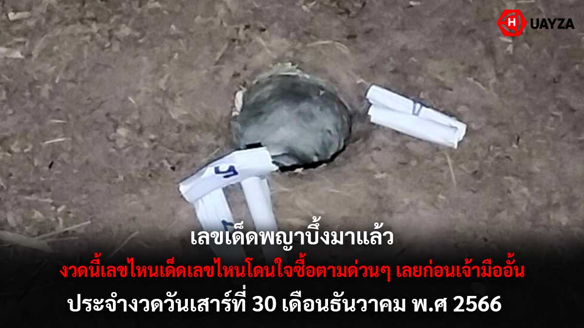 เลขเด็ดพญาบึ้งงวด 30 12 66