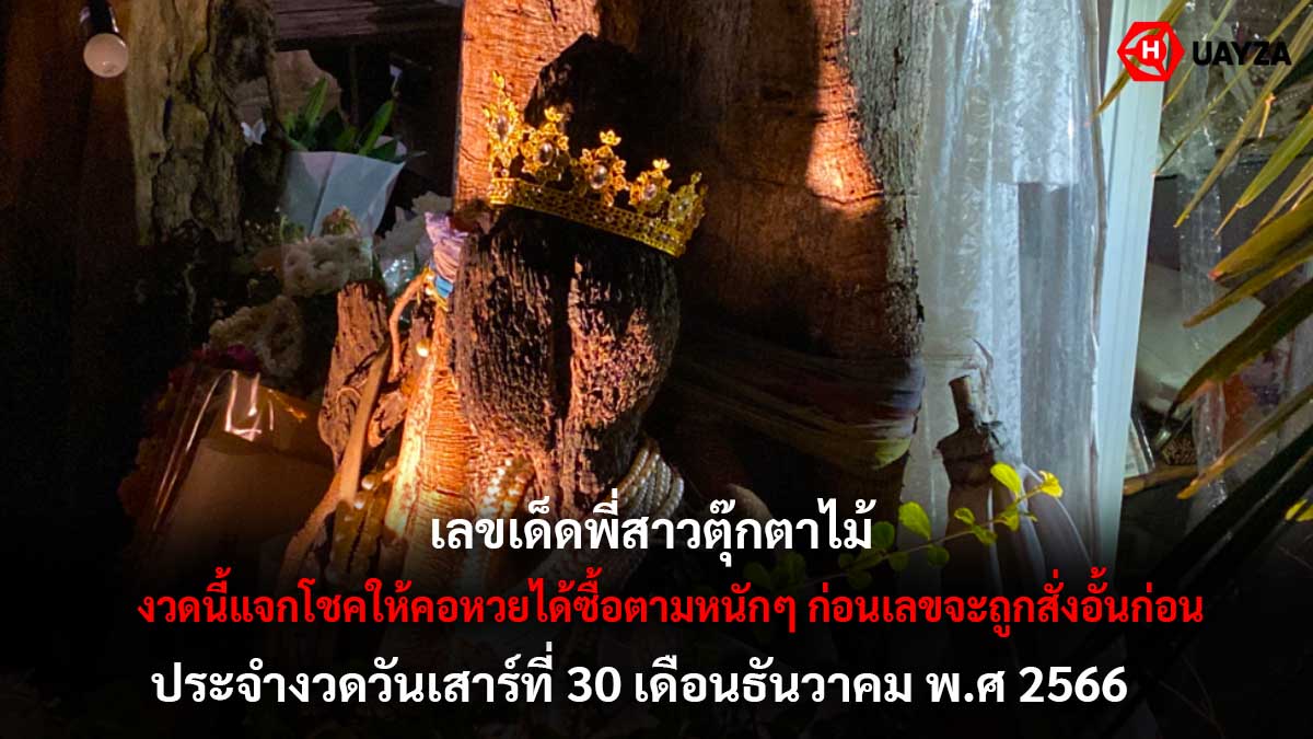 เลขพี่สาวตุ๊กตาไม้ 30 12 66