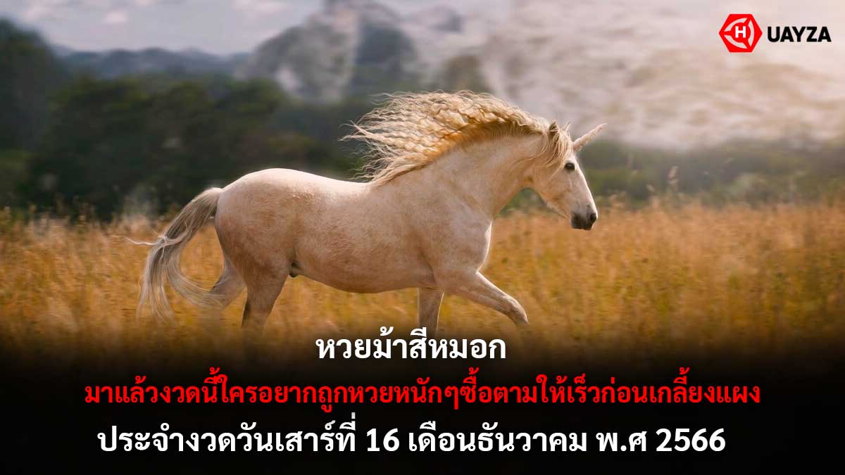 เลขเด็ดม้าสีหมอกงวด 16 12 66