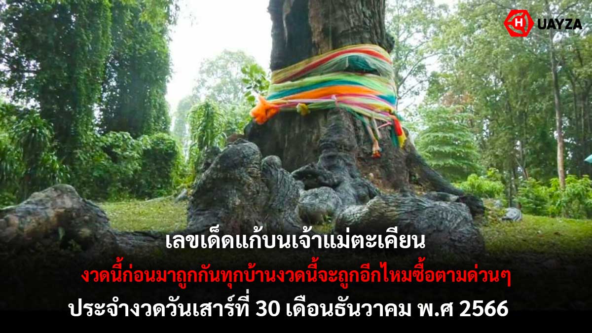 เลขเด็ดเจ้าแม่ตะเคียน 30 12 66