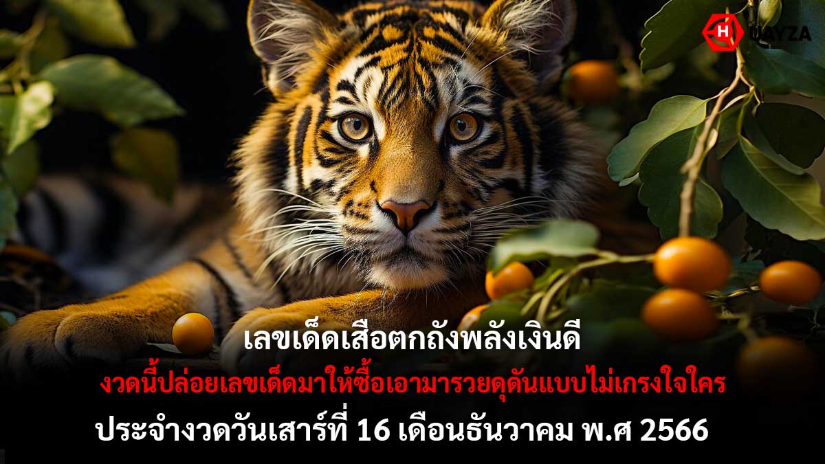 เสือตกถังพลังเงินดี 16 12 66