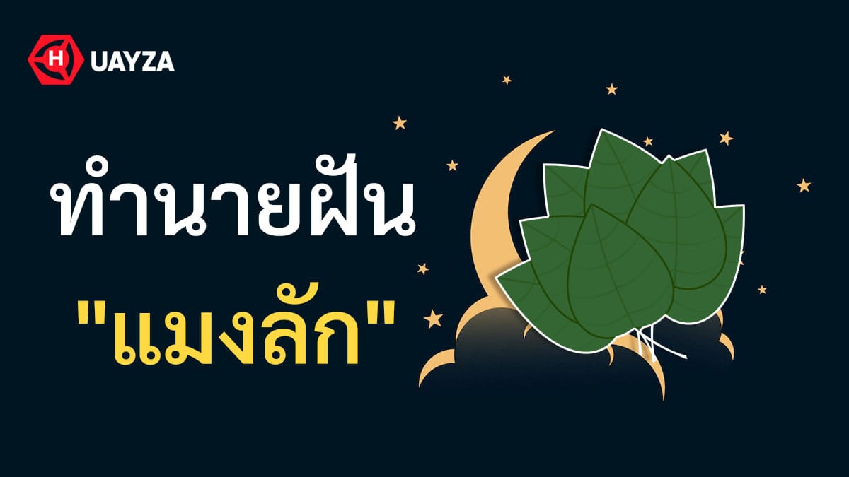 ฝันเห็นแมงลัก