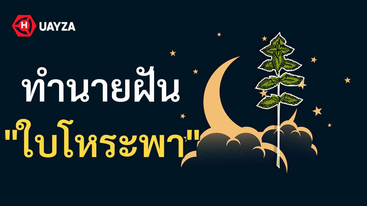 ฝันเห็นใบโหระพา