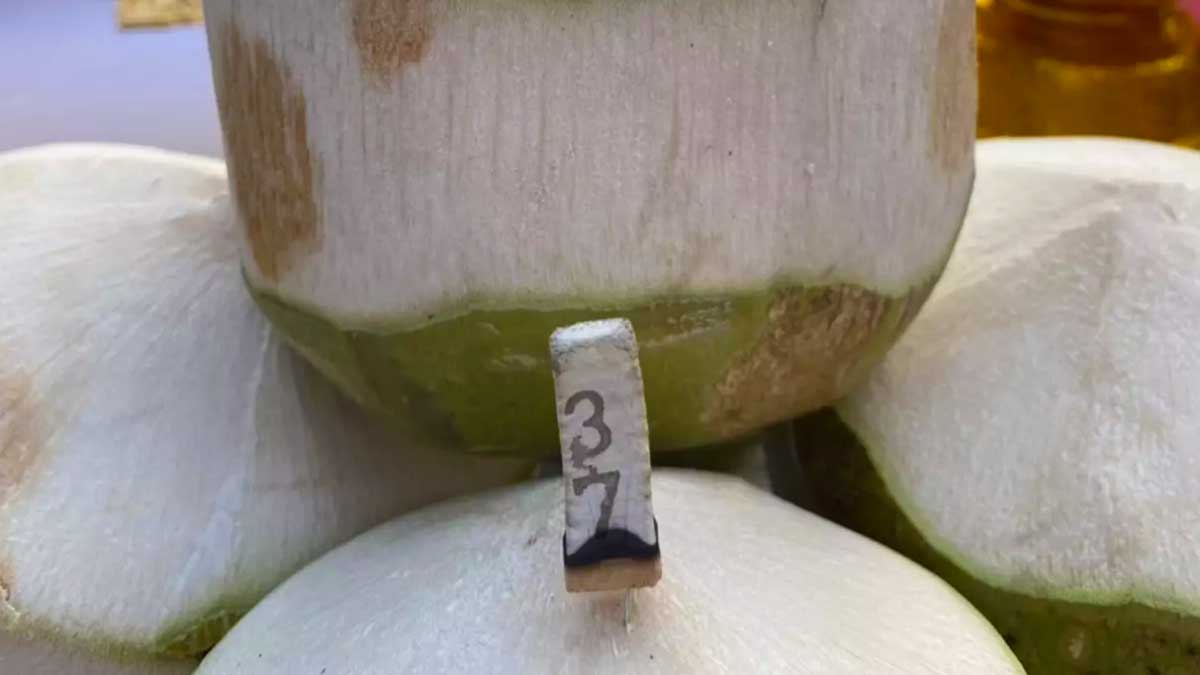 รวมเลขธูปมงคลงวด 1 ก.พ. 67 -1
