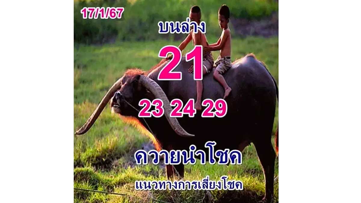หวยควายนำโชค งวด 17 มกราคม 2567