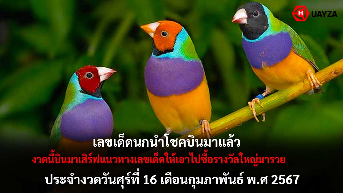 เลขเด็ดนกนำโชคงวด 16 2 67