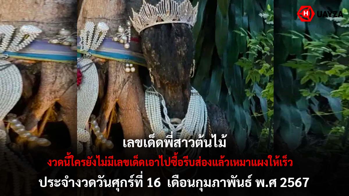 เลขเด็ดพี่สาวต้นไม้ 16 2 67