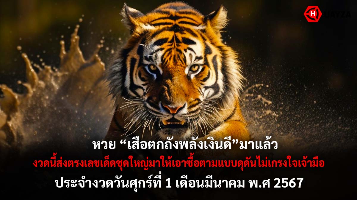 เสือตกถังพลังเงินดี 1 3 67