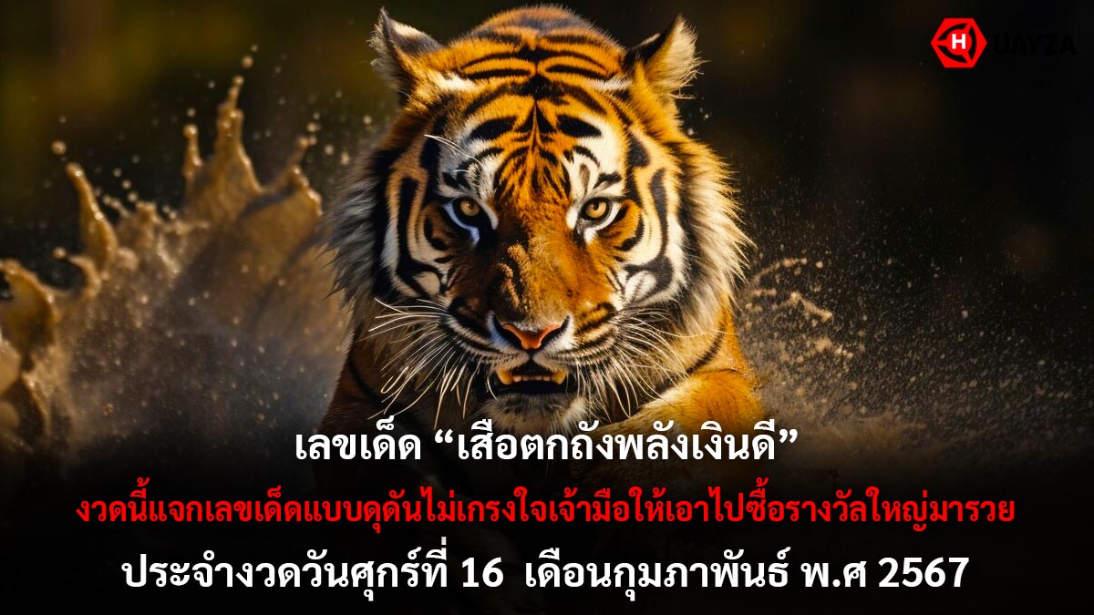 เสือตกถังพลังเงินดี 16 2 67