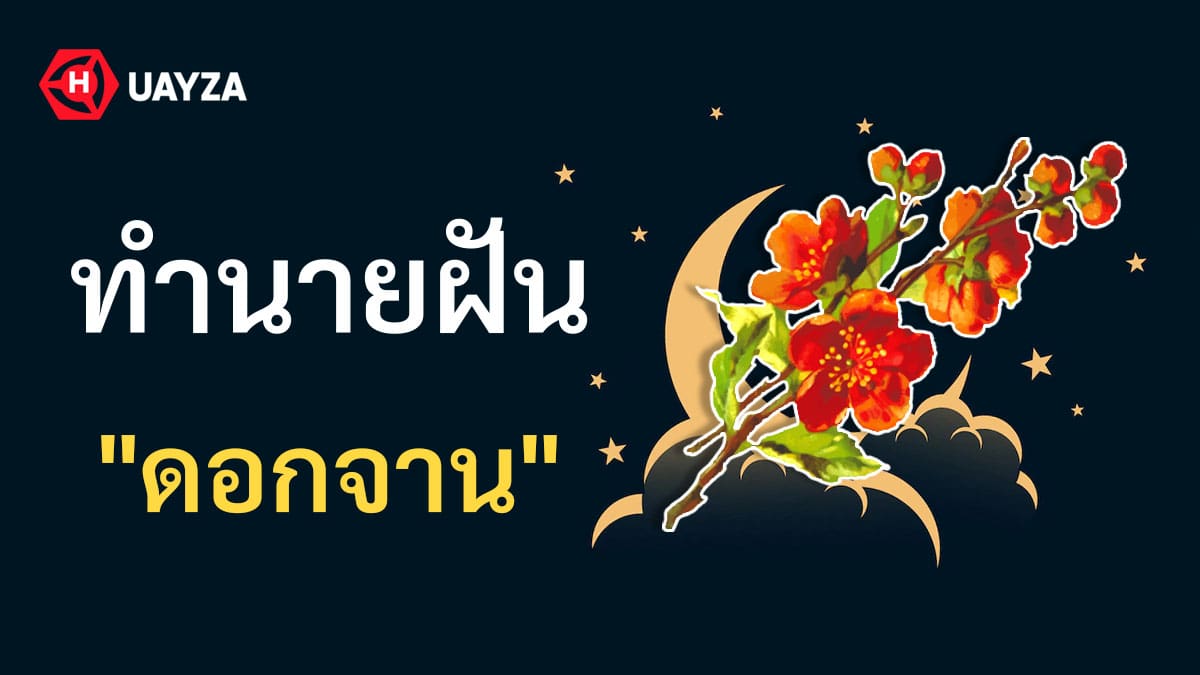 ฝันเห็นดอกจาน