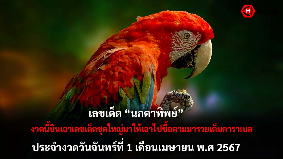 เลขเด็ดนกตาทิพย์งวด 1 4 67