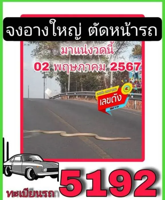 เลขรถงูจงอางตัดหน้า งวด 2 พฤษภาคม 2567