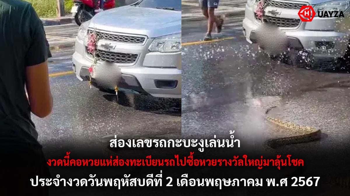 เลขรถงูเล่นน้ำงวด 2 5 67
