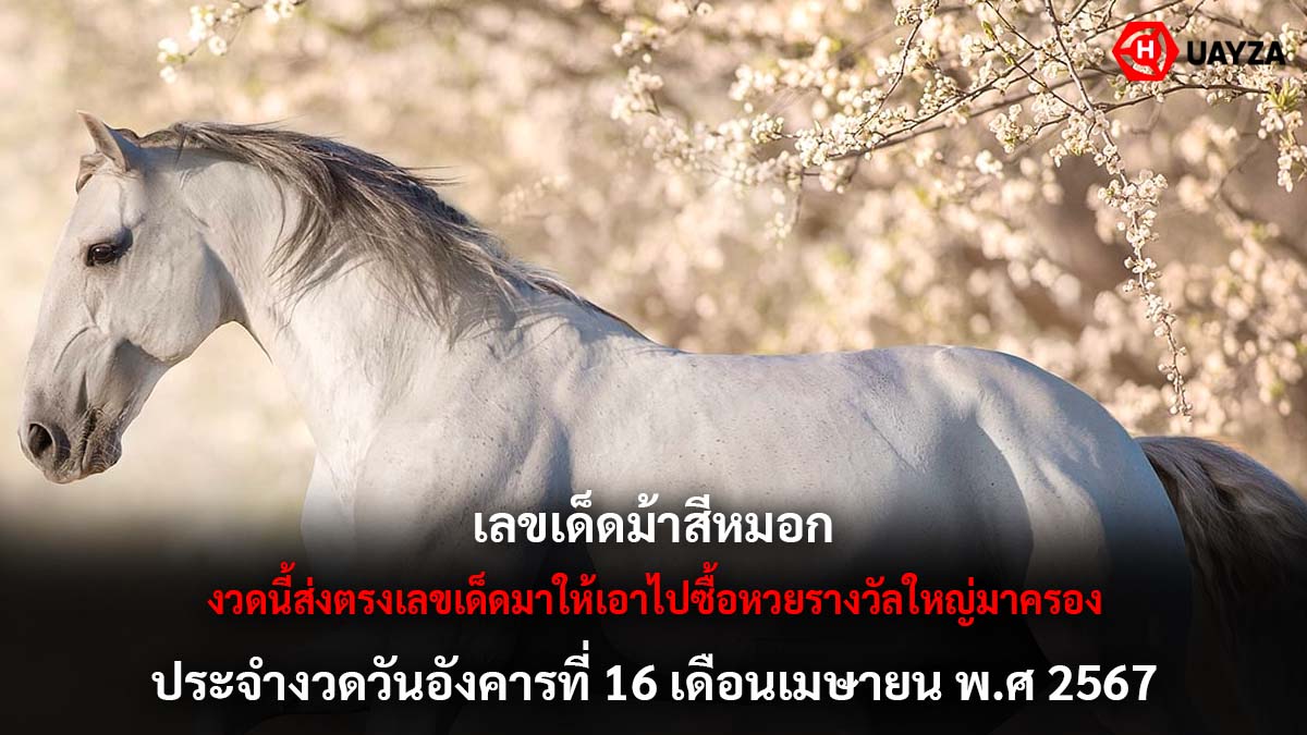 เลขเด็ดม้าสีหมอกงวด 16 4 67