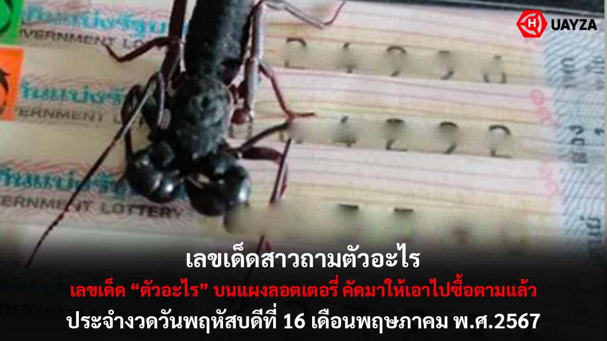 เลขเด็ดตัวอะไร งวด 16 5 67