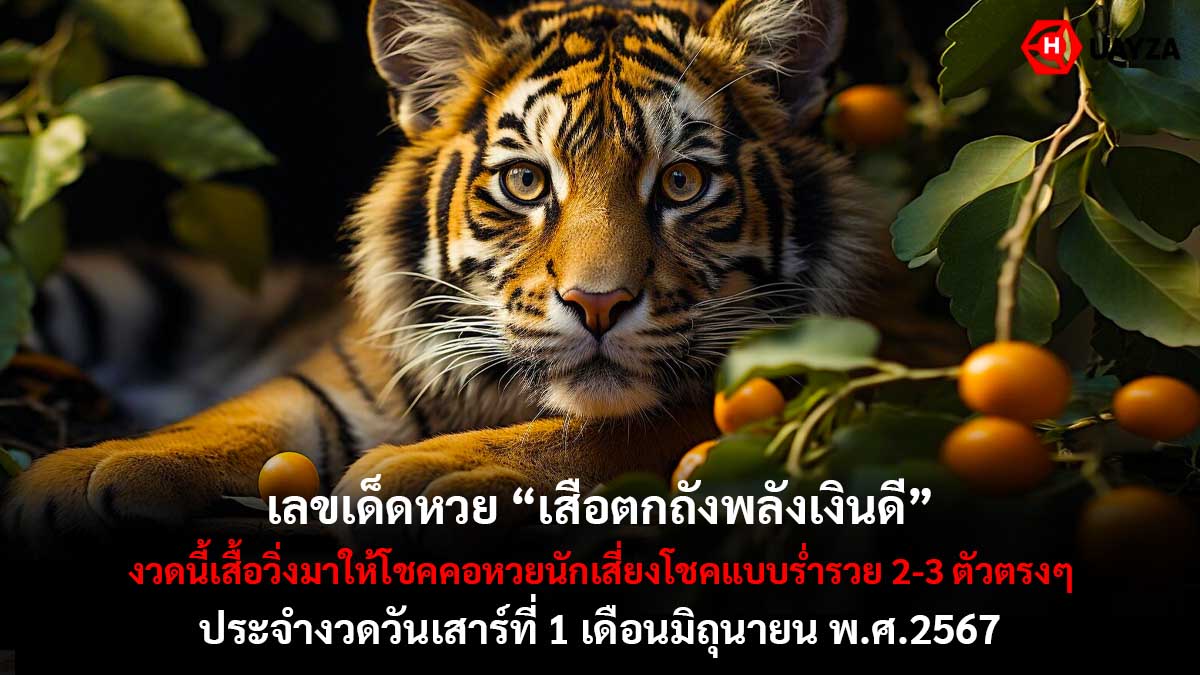 เสือตกถังพลังเงินดี 1 6 67
