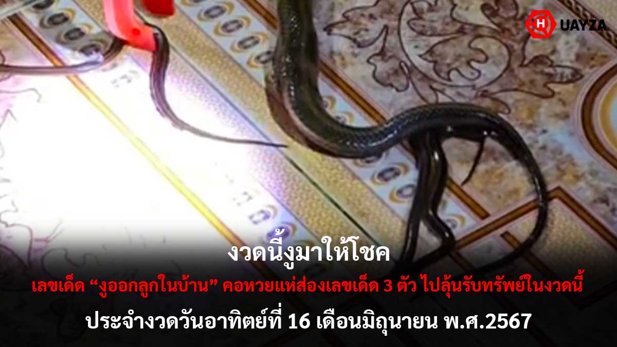 เลขเด็ดงูออกลูกในบ้าน 16 6 67