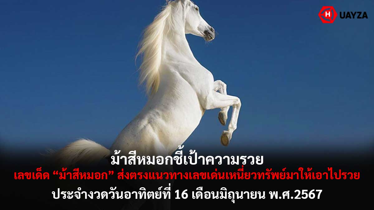 เลขเด็ดม้าสีหมอก 16 6 67