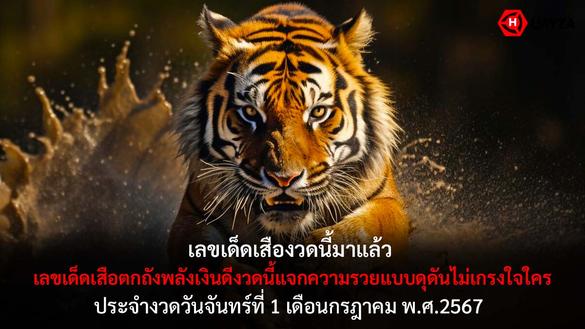 เสือตกถังพลังเงินดี 1 7 67