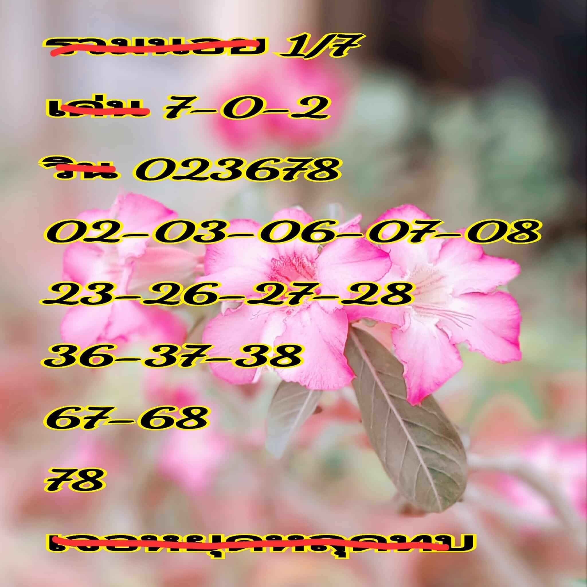 หวยฮานอย 1-7-67 ชุด8