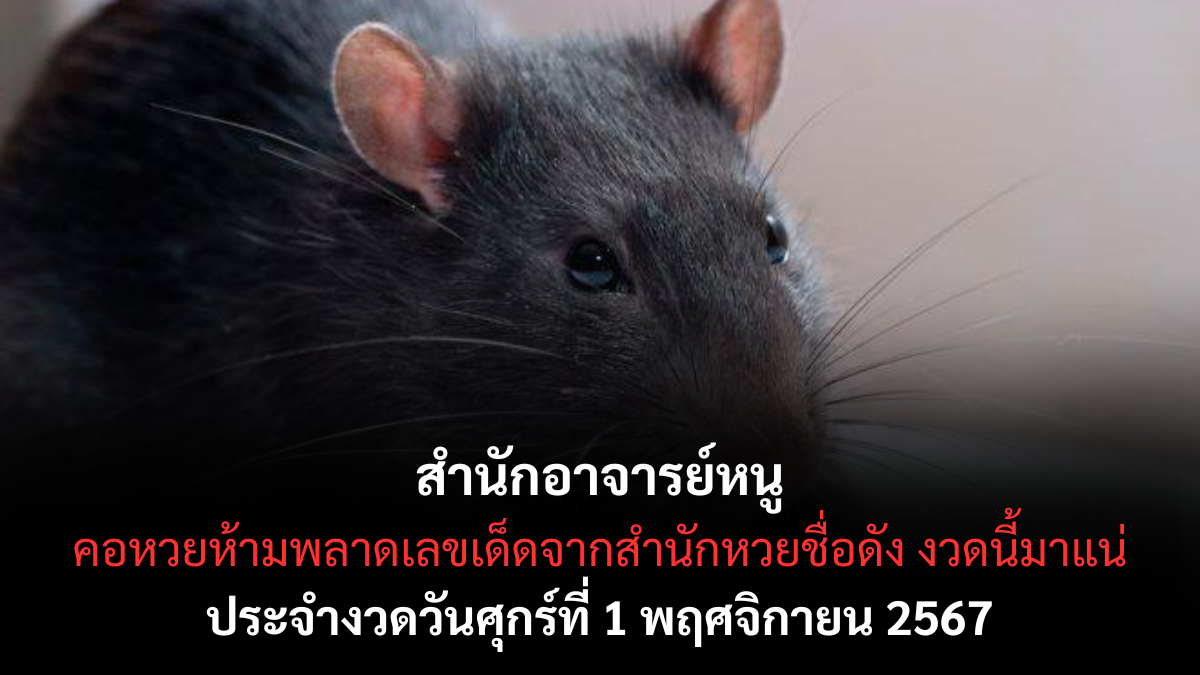เลขเด็ดอาจารย์หนู
