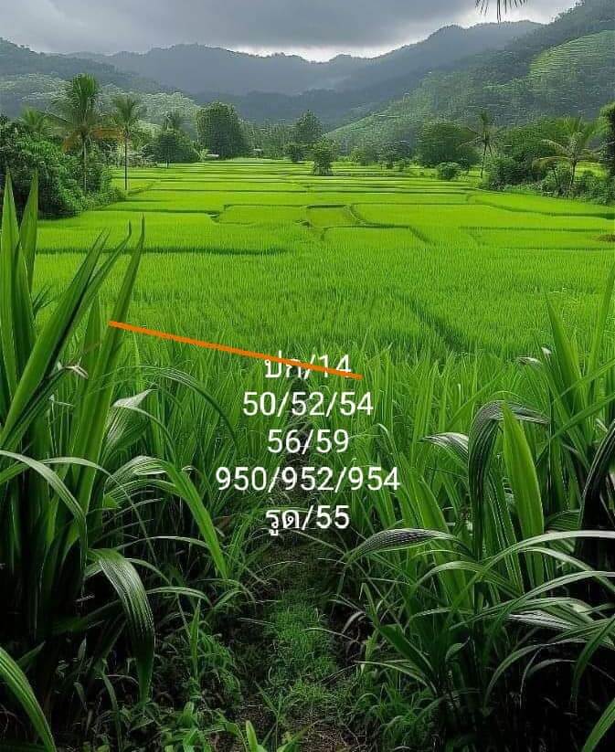 หวยฮานอย 14-12-67 ชุด8